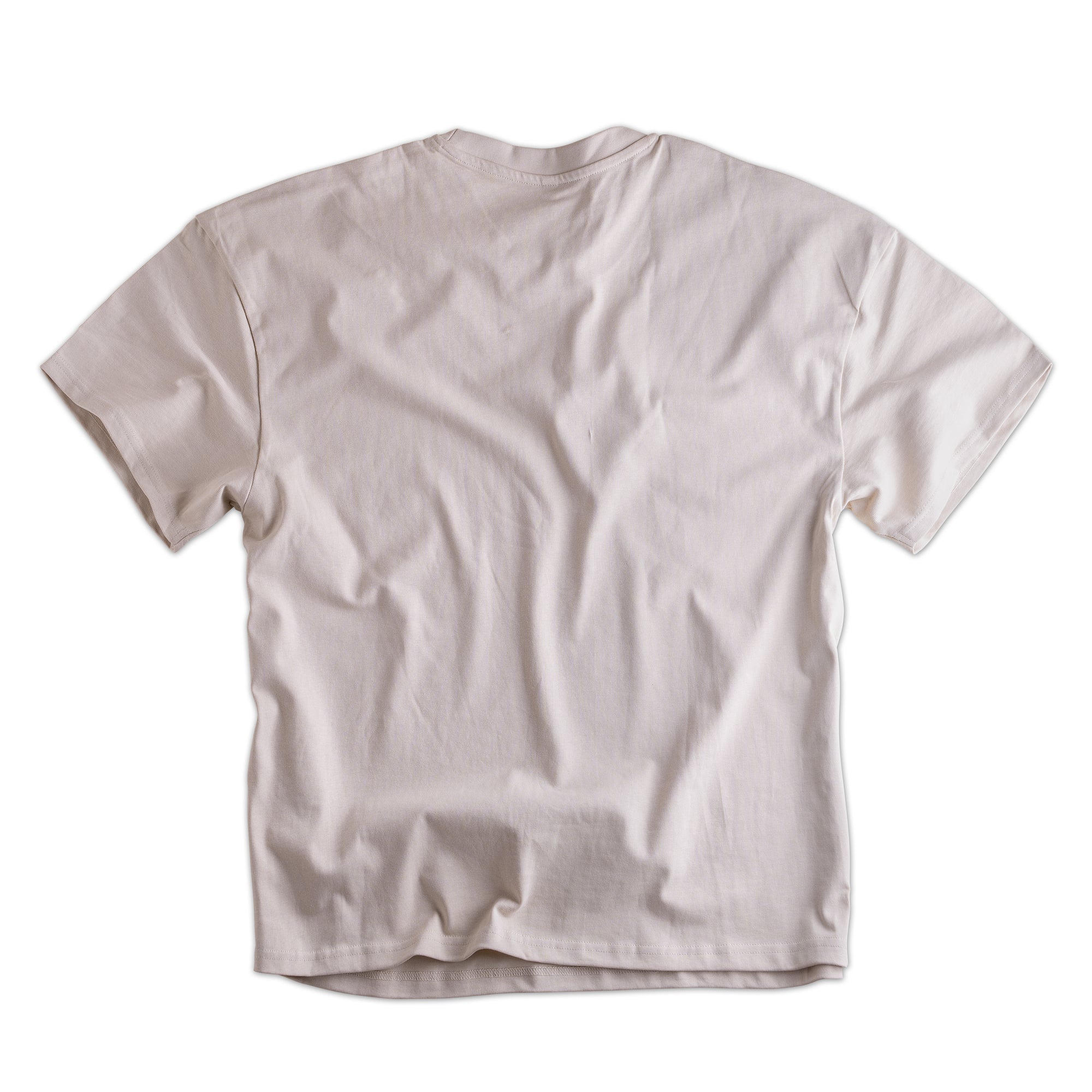 Männer Oversize T-Shirt L23BC sand-mint von Label 23 – Rückansicht