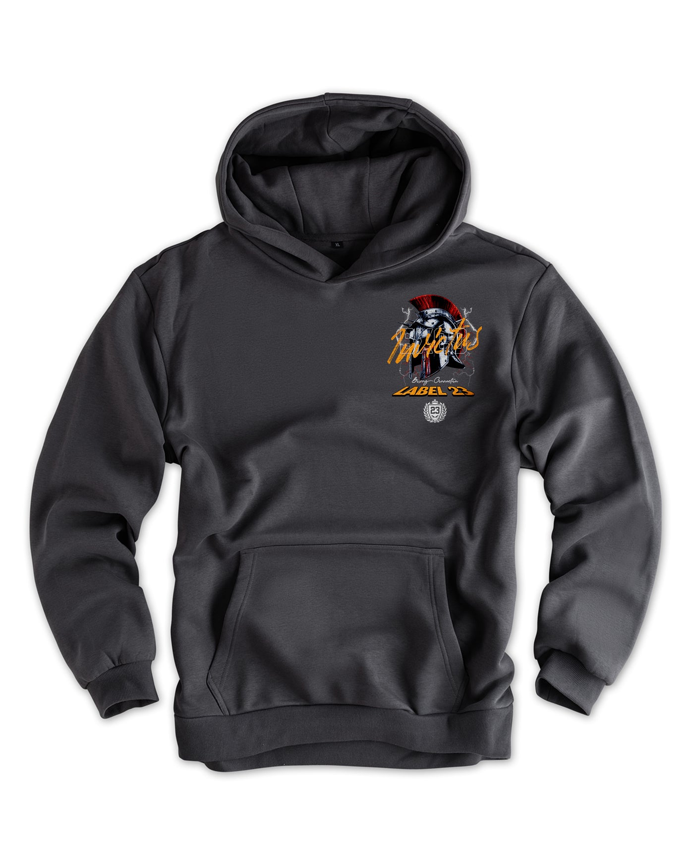 Herren Artic Fleece Hoodie "Invictus" grau